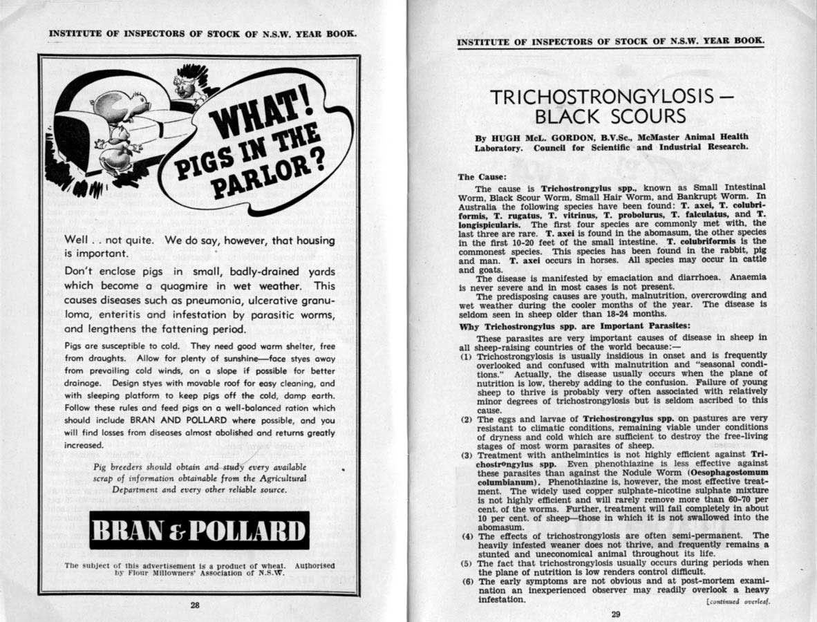 1942 Page 28 29